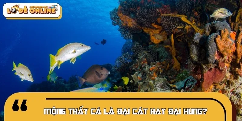 Mơ thấy cá có thể mang đến điềm lành hoặc điềm dữ