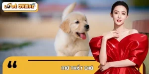 Mơ Thấy Chó Báo Hiệu Gì? Nên Đánh Con Lô Đề Gì Để Trúng Lớn?