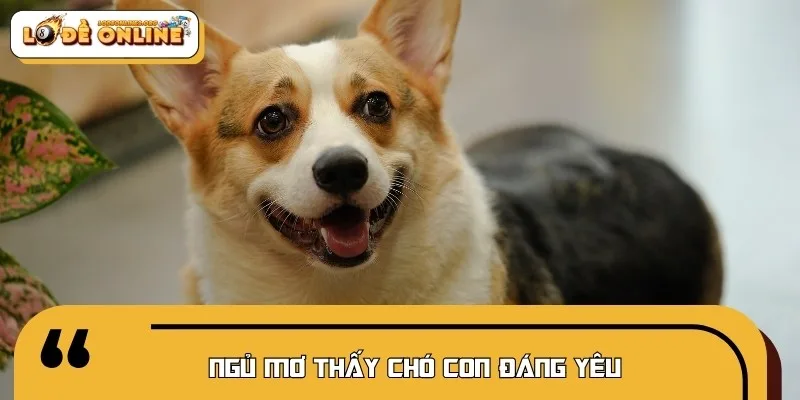 Những chú chó con đại diện cho sự khởi đầu đầy may mắn