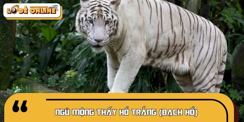 Linh vật Bạch Hổ tượng trưng cho quyền quý và trí tuệ