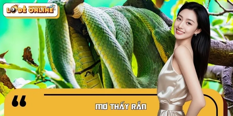 Mơ Thấy Rắn Tốt Hay Xấu? Nên Thử Vận May Với Cặp Lô Đề Gì?